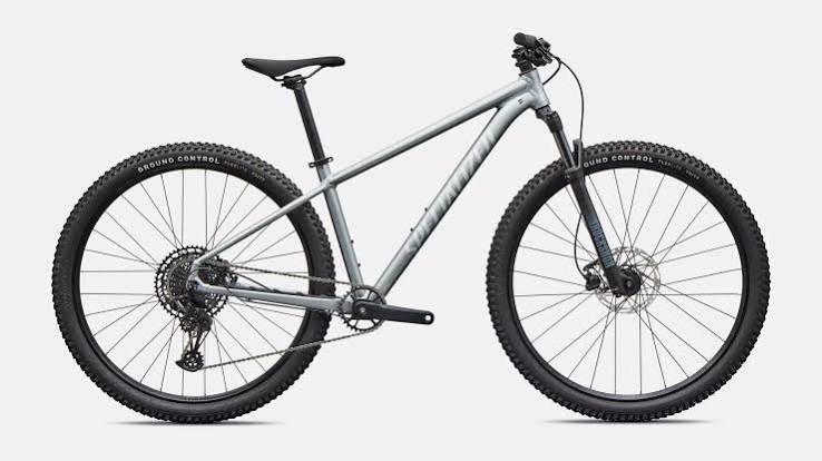 Rockhopper Comp Plata/Blanco R29