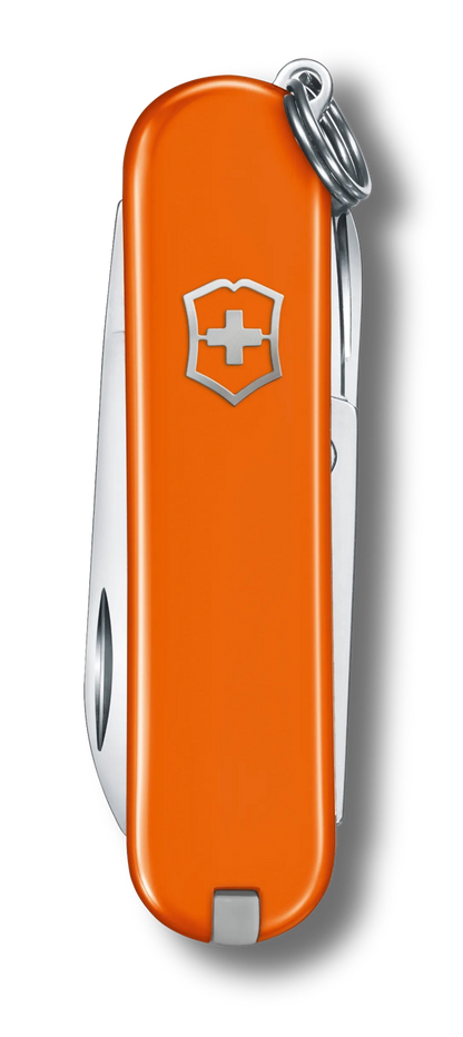 Classic SD Mango Tango