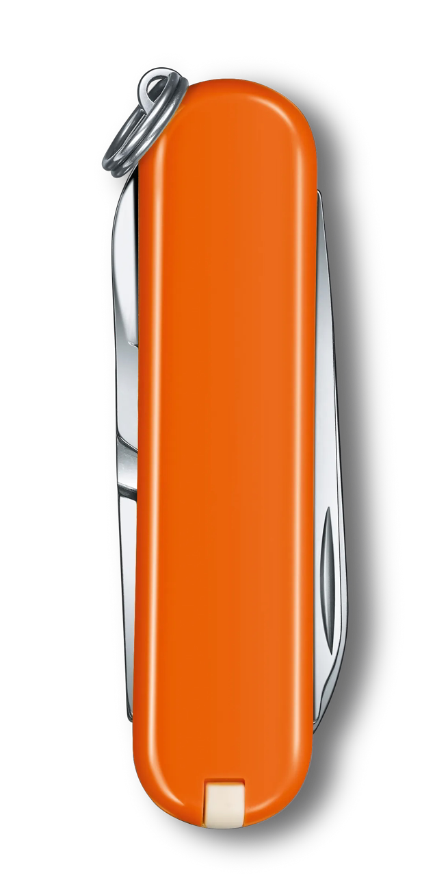 Classic SD Mango Tango