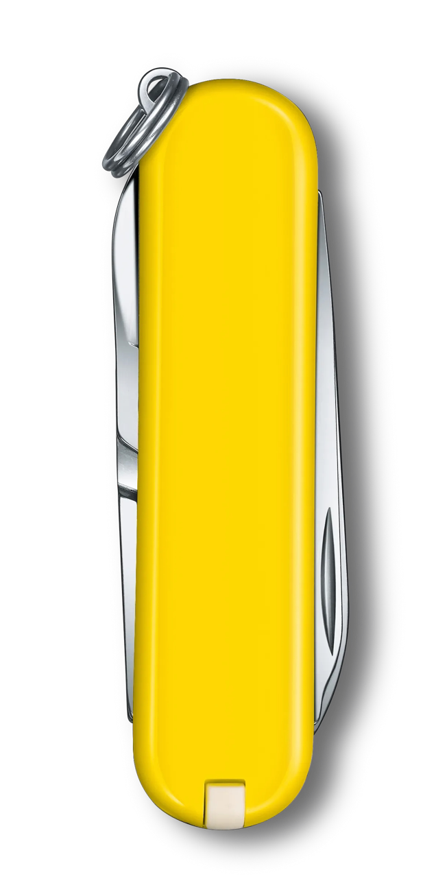 Classic SD Sunny Side