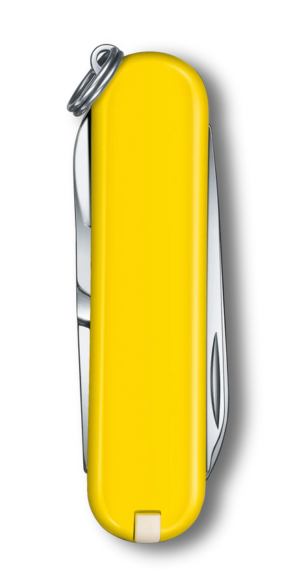 Classic SD Sunny Side